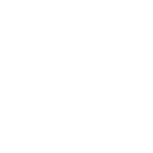 scaling finance partner logo (1)
